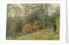 Path Through the Wood, 1902 by Wilmot R.W.S. Pilsbury