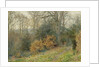 Path Through the Wood, 1902 by Wilmot R.W.S. Pilsbury