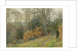 Path Through the Wood, 1902 by Wilmot R.W.S. Pilsbury
