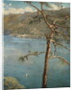 Spring at Cadenabbia by John Collier