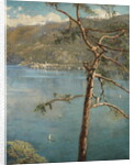 Spring at Cadenabbia by John Collier