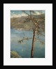Spring at Cadenabbia by John Collier