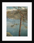 Spring at Cadenabbia by John Collier