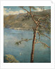 Spring at Cadenabbia by John Collier