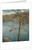 Spring at Cadenabbia by John Collier