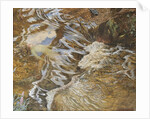The Water-sprite by John Byam Liston Shaw