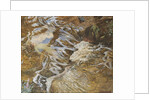 The Water-sprite by John Byam Liston Shaw