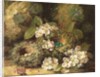 Primroses and Bird's Nests on a Mossy Bank, 1882 by Oliver Clare
