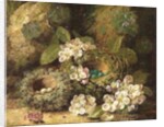 Primroses and Bird's Nests on a Mossy Bank, 1882 by Oliver Clare