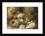 Primroses and Bird's Nests on a Mossy Bank, 1882 by Oliver Clare