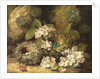 Primroses and Bird's Nests on a Mossy Bank, 1882 by Oliver Clare