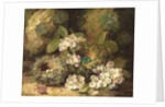 Primroses and Bird's Nests on a Mossy Bank, 1882 by Oliver Clare