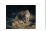A Pair of Leopards, 1845 by William Huggins