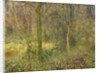 Wooded Glade by Arthur Hacker