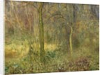 Wooded Glade by Arthur Hacker