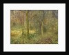 Wooded Glade by Arthur Hacker