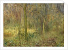 Wooded Glade by Arthur Hacker