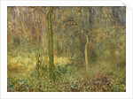 Wooded Glade by Arthur Hacker