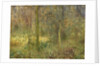 Wooded Glade by Arthur Hacker