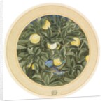 The Hummingbird by James Smetham