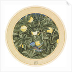 The Hummingbird by James Smetham