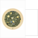 The Hummingbird by James Smetham