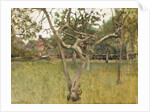 An Orchard, 1881 by George Clausen