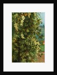 Hops, 1882 by Philip Hermogenes Calderon