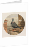 Racing Pigeons, Paris to London, 1880 by Henry Stephen Ludlow