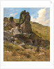 A Rocky Outcrop by Arthur Hughes