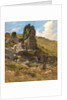 A Rocky Outcrop by Arthur Hughes