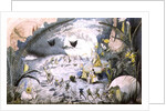 A Fairy Gathering by George Cruikshank