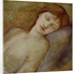 Study for the Sleeping Princess in 'The Briar Rose' Series, c.1881 by Edward Coley Burne-Jones