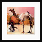 dsu and Said, Rann of Kutch, 1996 by Mark Adlington