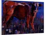 Red Calf, Cazalla de la Sierra, 1999 by Mark Adlington