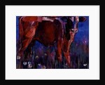 Red Calf, Cazalla de la Sierra, 1999 by Mark Adlington