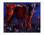 Red Calf, Cazalla de la Sierra, 1999 by Mark Adlington