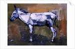 Donkey Stallion, Ronda, 1998 by Mark Adlington