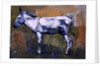 Donkey Stallion, Ronda, 1998 by Mark Adlington
