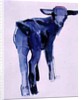 Blue Kid, Cazalla de la Sierra, 1999 by Mark Adlington