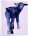 Blue Kid, Cazalla de la Sierra, 1999 by Mark Adlington