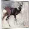 Roe Doe, 2000 by Mark Adlington