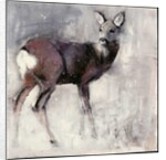 Roe Doe, 2000 by Mark Adlington