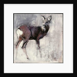 Roe Doe, 2000 by Mark Adlington