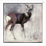 Roe Doe, 2000 by Mark Adlington