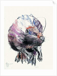 Beaver, 2001 by Mark Adlington