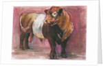 Zeus, Red Belted Galloway Bull, 2006 by Mark Adlington