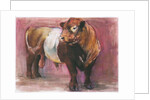 Zeus, Red Belted Galloway Bull, 2006 by Mark Adlington