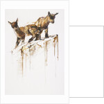 Rock Play, 2005 by Mark Adlington