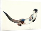 Curious Otter, 2003 by Mark Adlington